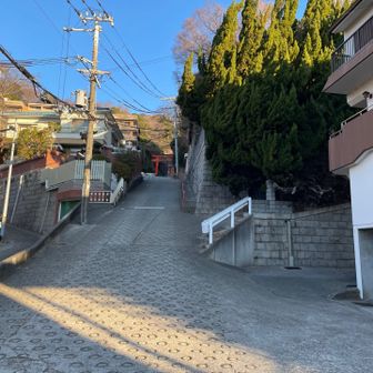 諏訪神社⛩️参道