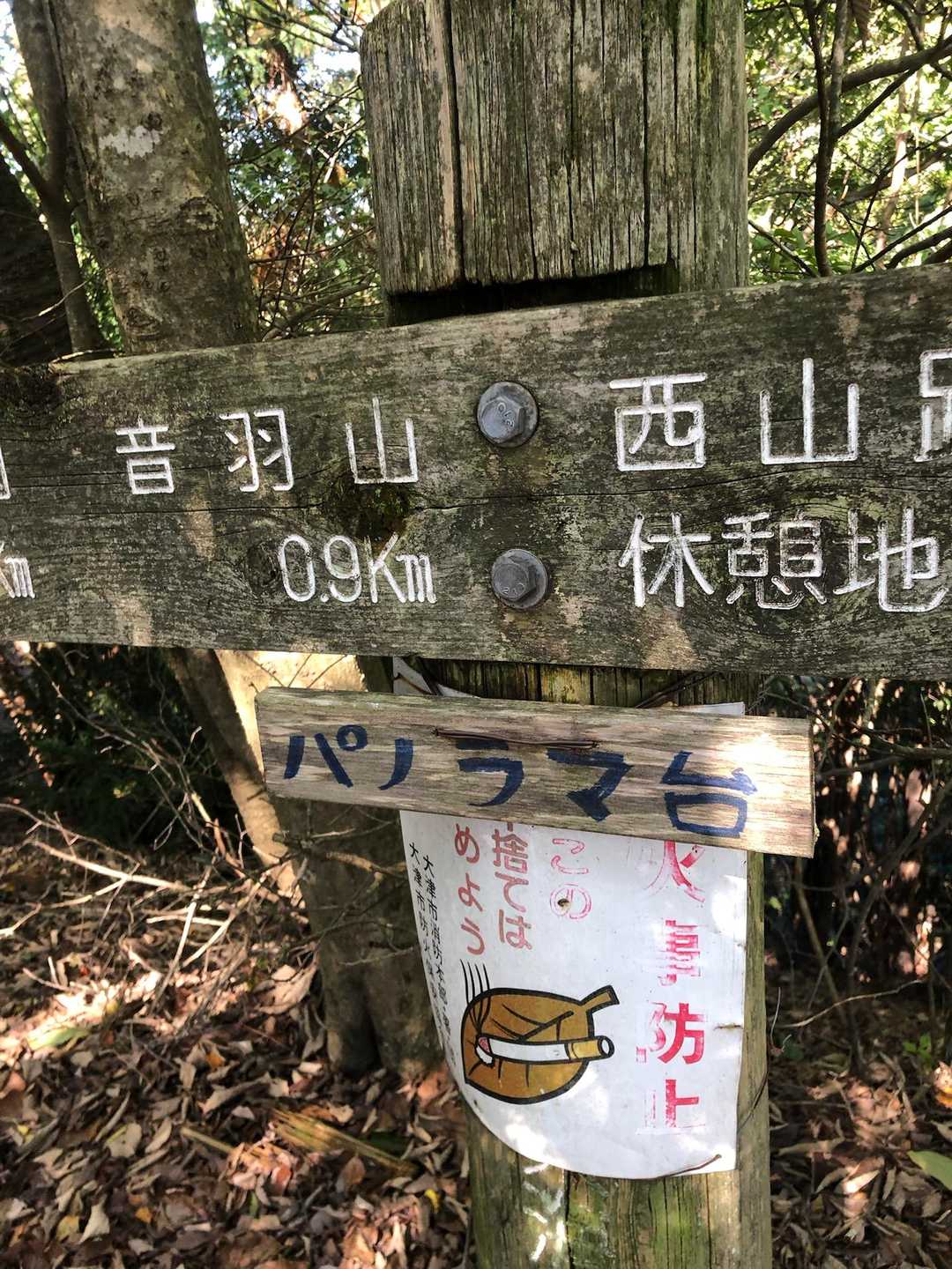 パノラマ台は