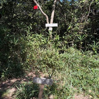 4座目　松尾山