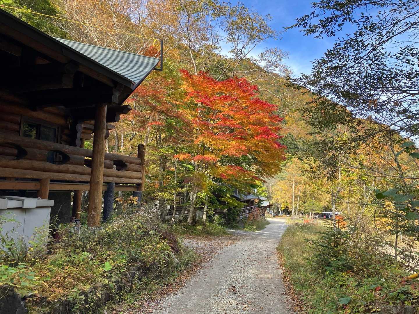 紅葉を楽しみながらゆっくり歩きます🚶