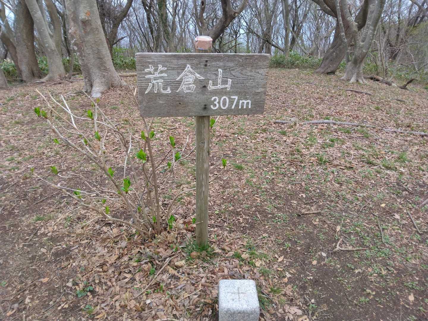 あっという間に
荒倉山山頂到着🙌