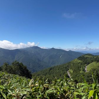 急登の登山道を振り返る。まだ天気は持ちそうです☀️