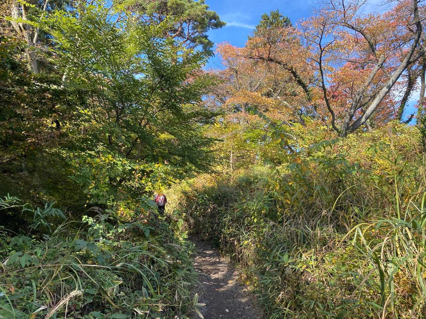 與瀬神社-與瀬神社登り口-孫山-吉野矢ノ音-明王峠-底沢峠 縦走コースの写真