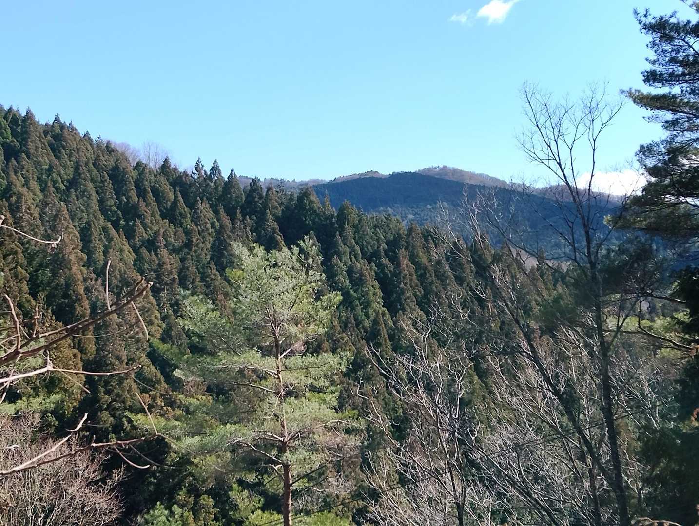 おっ、寧比曽岳山頂が見えるじゃん
あそこから来たんだ
ちょっと見えてご満悦