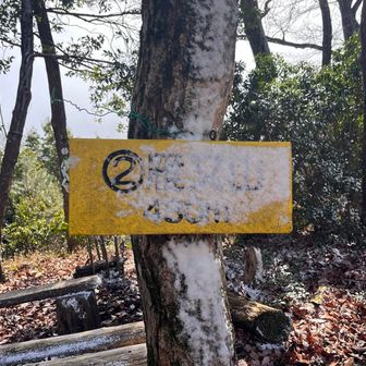 こちらは見えましたが、吹雪の影響で、見にくい…