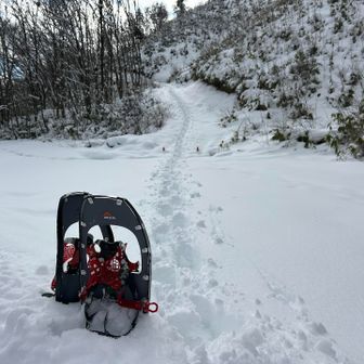 作業道を下りて来て車道に着地⤵️
新兵器は快適でした👌