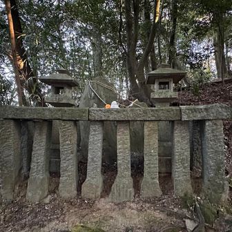 みかんが鏡餅のっていないのは何か理由がある？