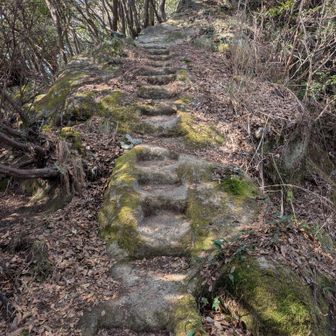 個人的に好きな石階段