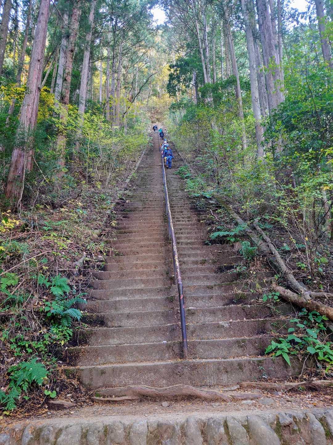 愛宕神社への階段
（帰りに撮影）