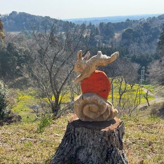 御十八夜山頂　はねうさぎと春の眺め
