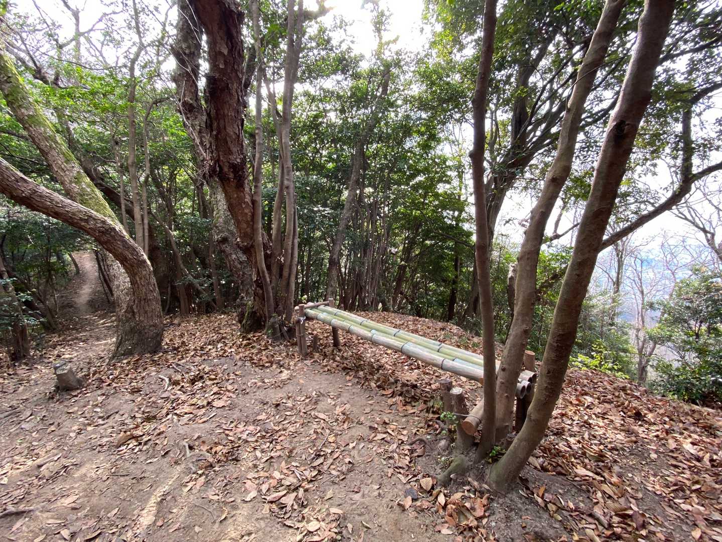 ベンチ