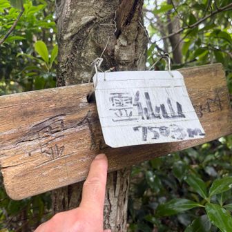 滋賀のもう一つの霊仙山へ立ち寄り🚩