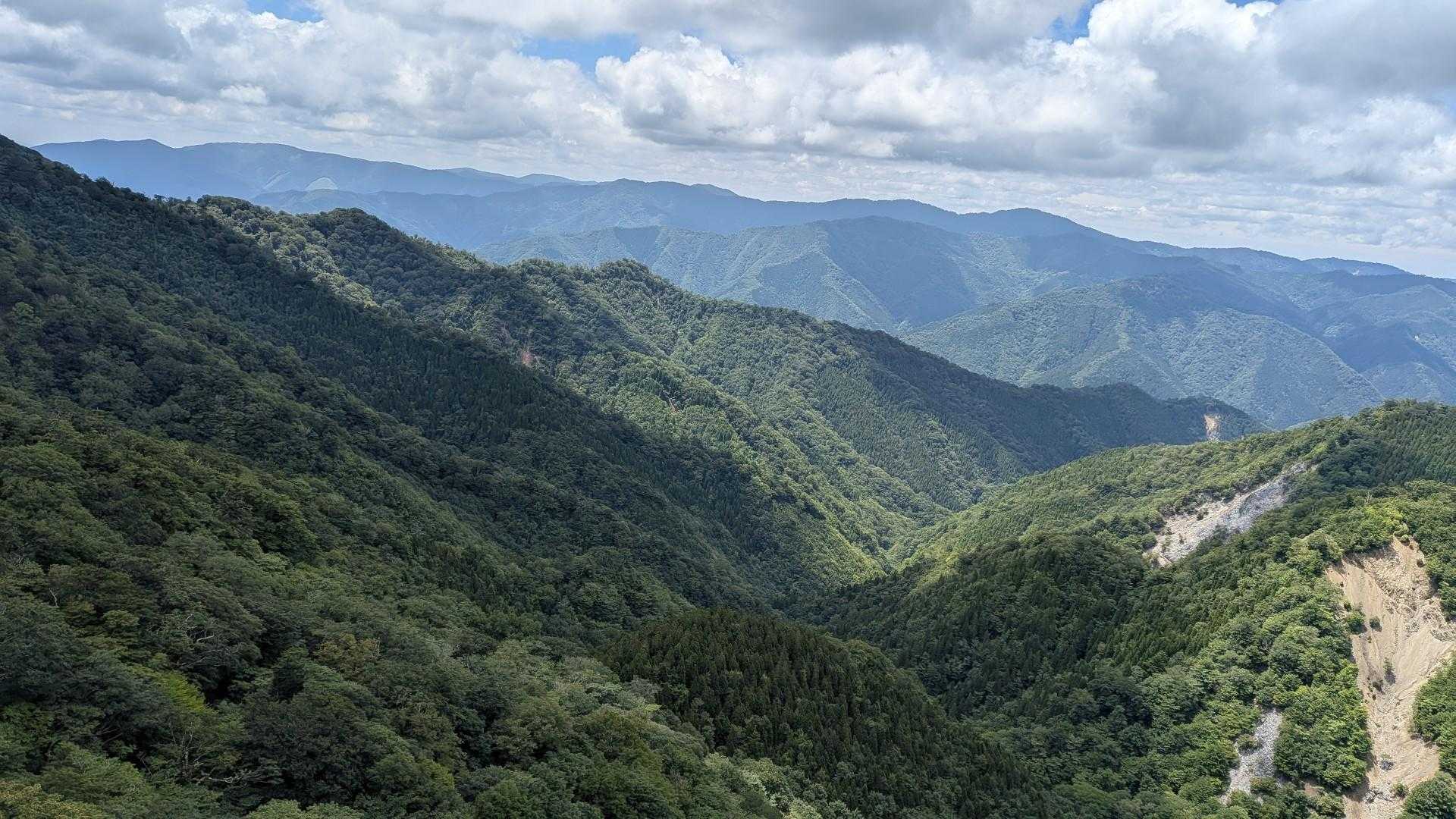 白岩山の山頂