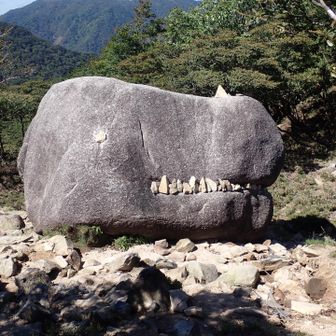 ゴジラ岩にご対面