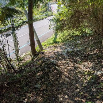 下山途中にもまさかのコースロストでガックリきたけど、どうにか無事下山できました