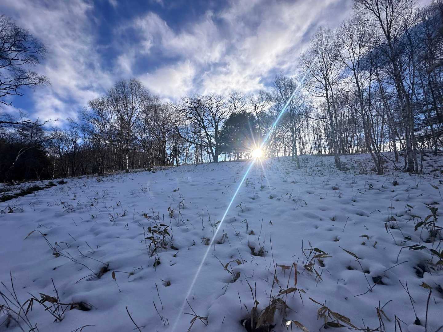 すずらん峠-蓼科山 往復コースの写真