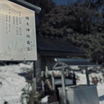 腰痛とグネった足首治った気がする