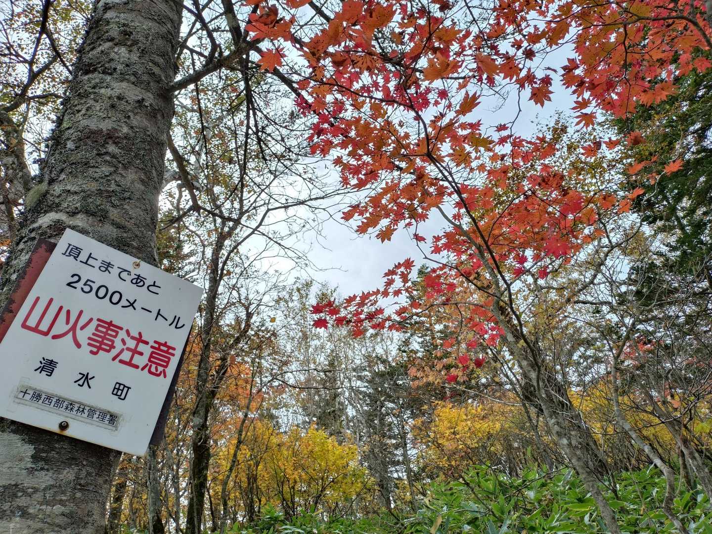案内標識

500m間隔で
あるみたい🙏