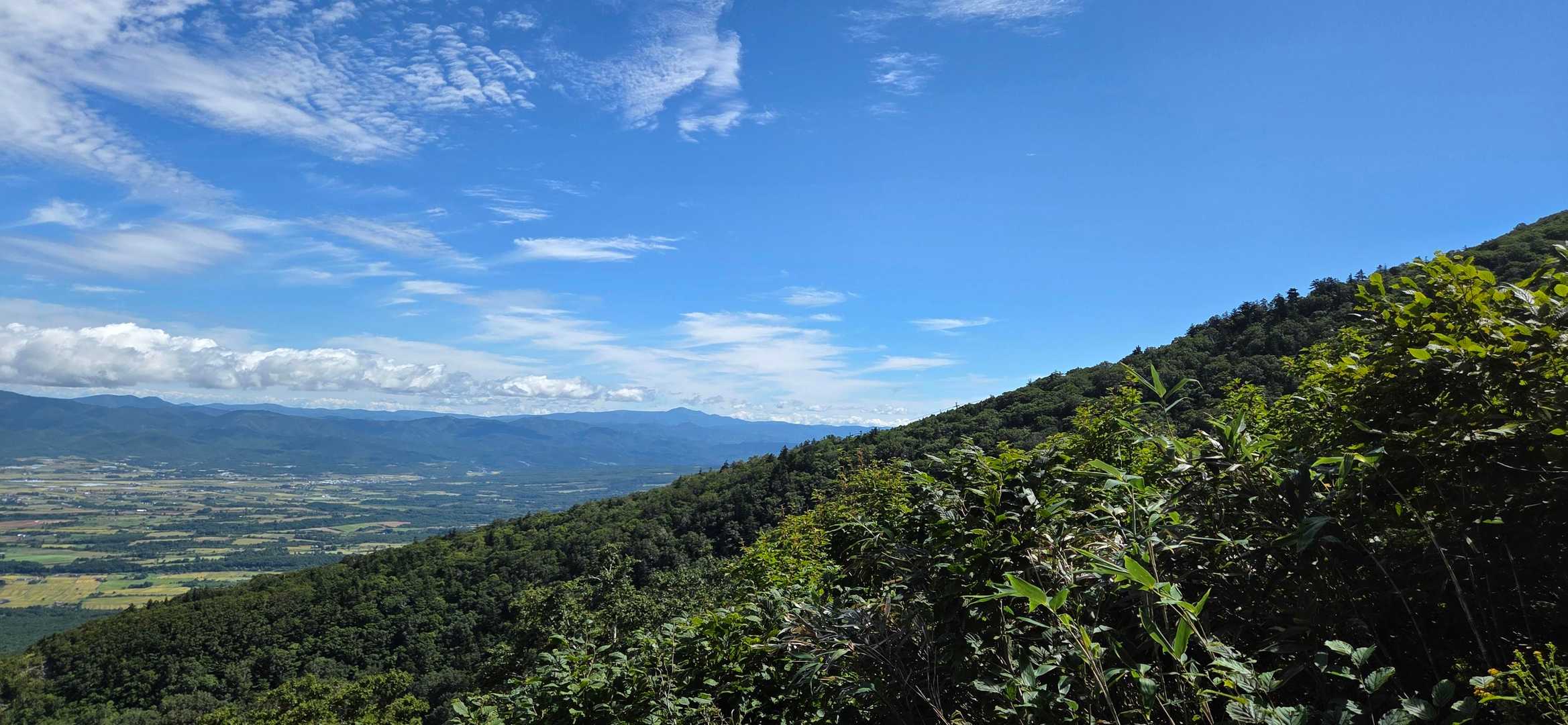 第2登山口-岩内岳 往復コースの写真