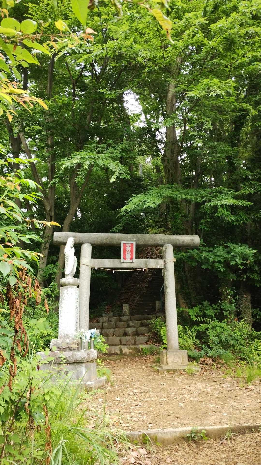 今朝も気持ち良い東高尾山稜😊
今日も平和に👏
