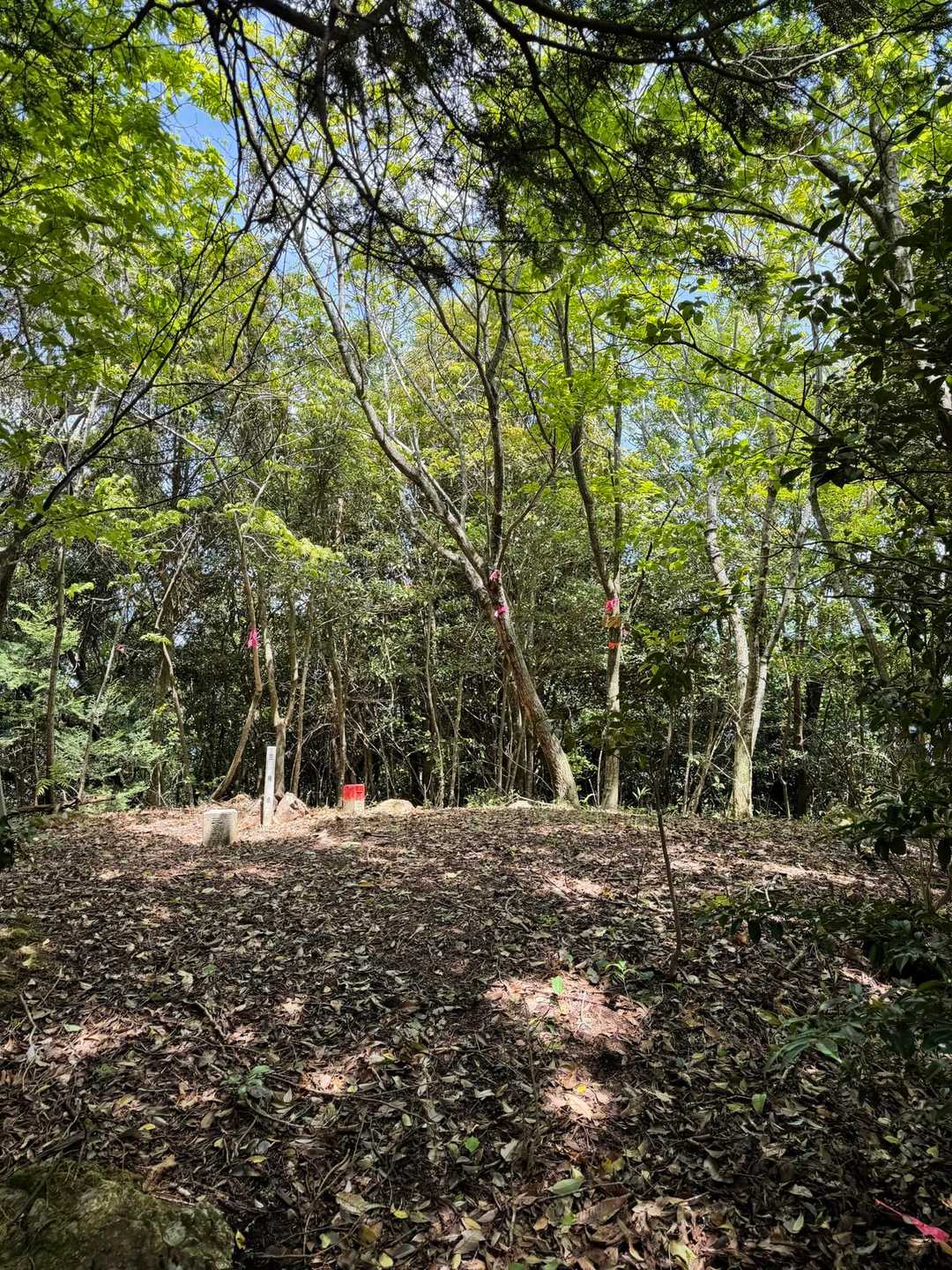 権現山、頂上に到着しました。