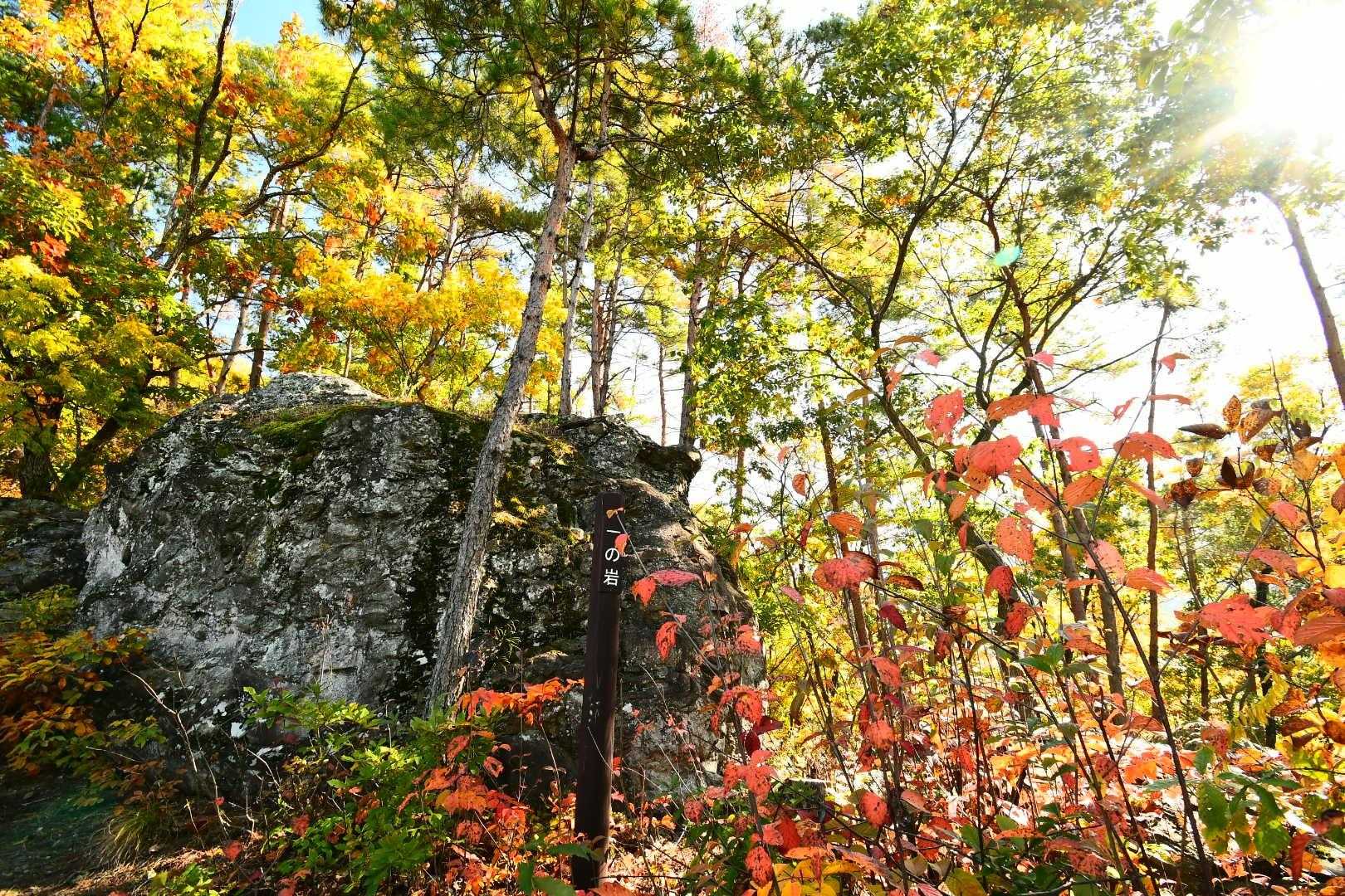 雁田山 縦走コースの写真