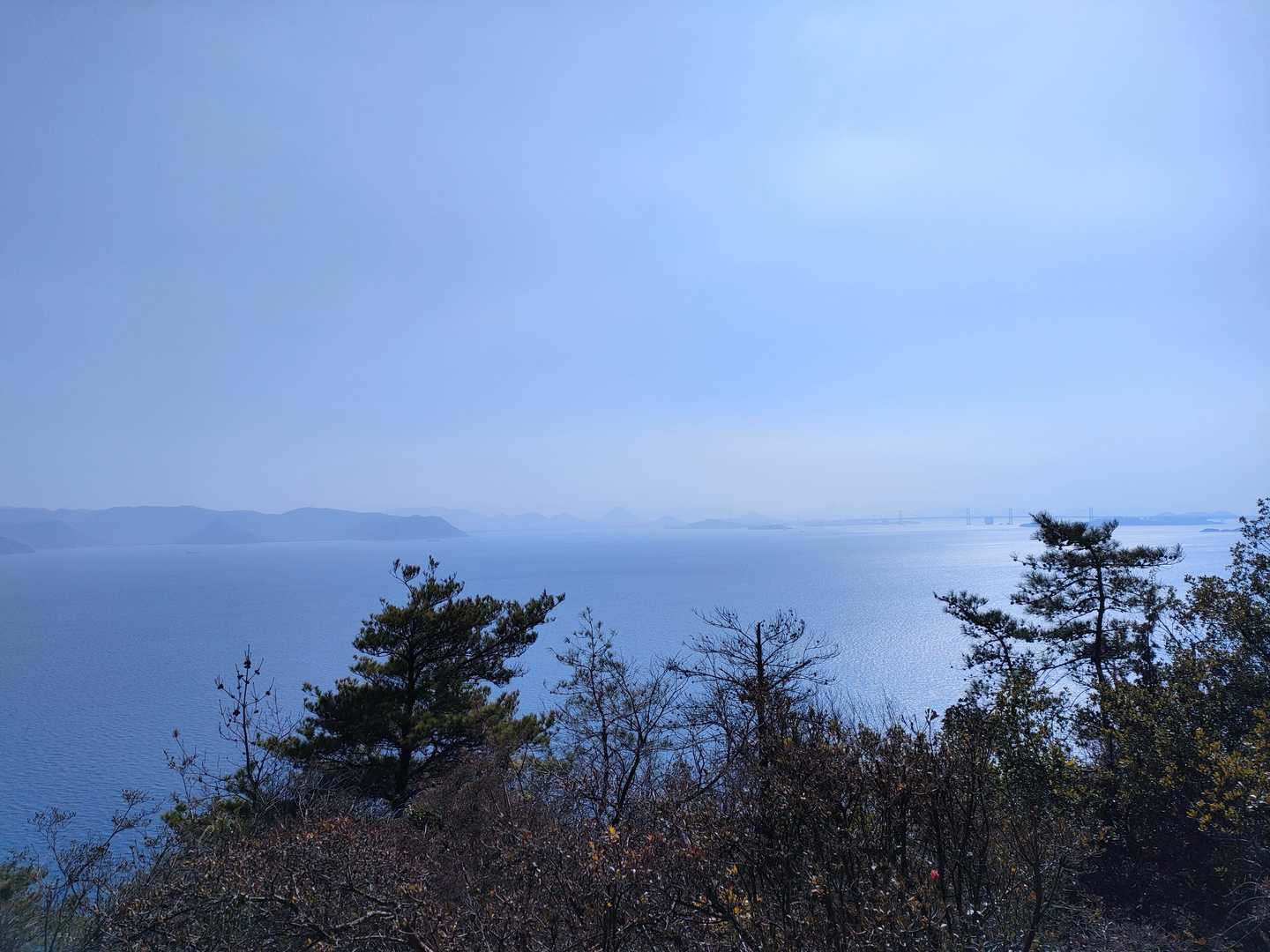 この景色を眺めての昼メシでした❗
少しビミョー😅