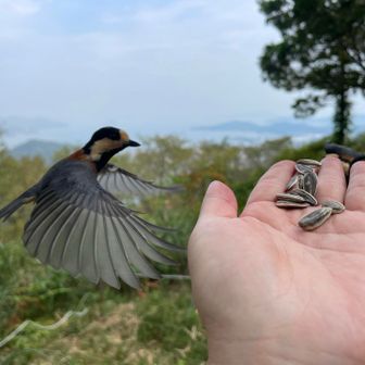 首長いよ😳