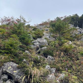 岩石山への岩が楽しそうです✨