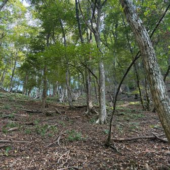 鈴鹿３００座らしい急登で