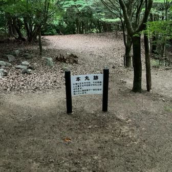 山の上に城跡ありがちですよね。