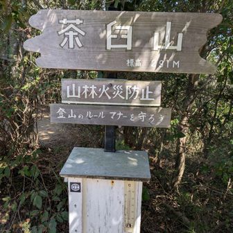 山頂到着