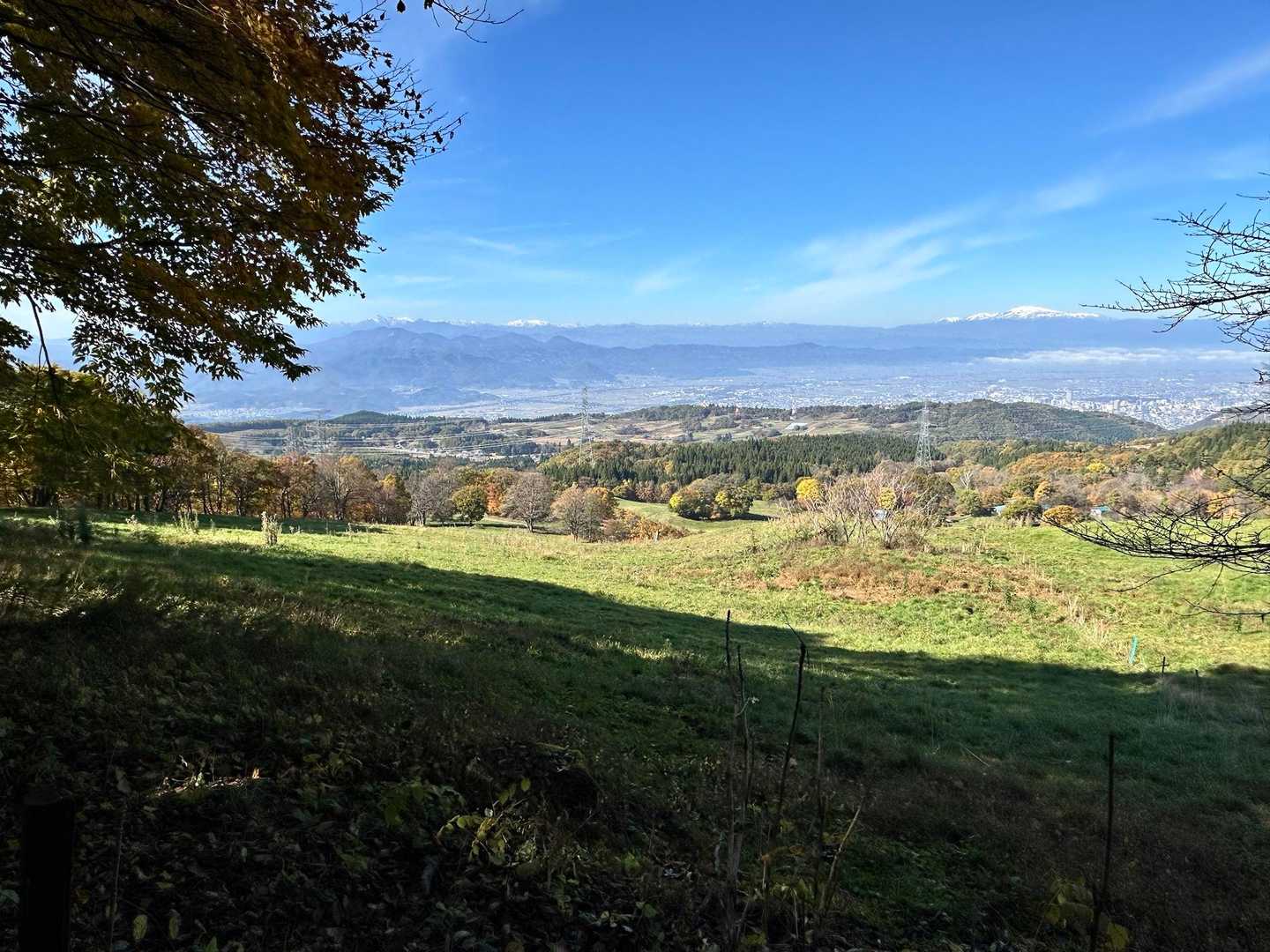とても景色のいい牧場です