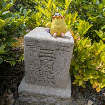 ヤブを通らなければ三角点に辿りつけなかったので来たら立派な二等三角点でした♪💕