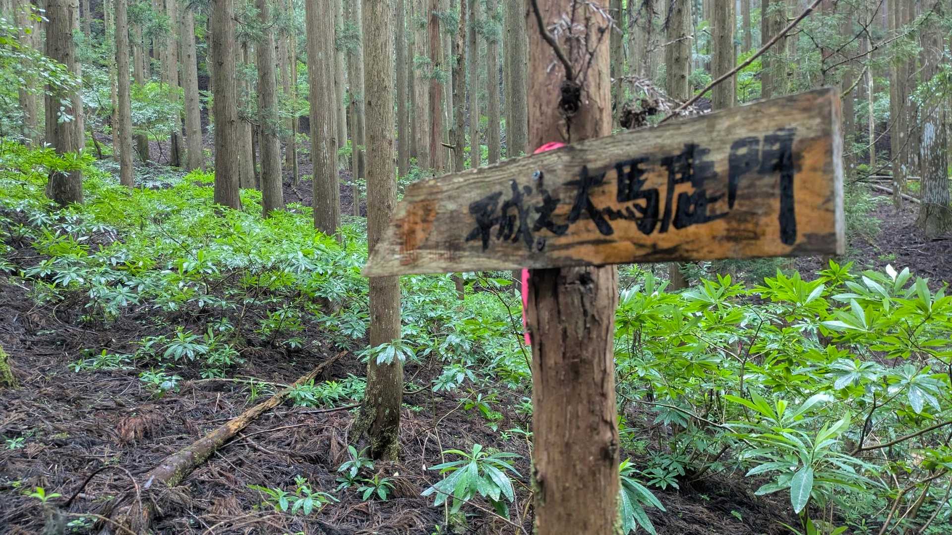 平成之大馬鹿門はあちらのようです😄