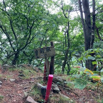 守屋山前嶽