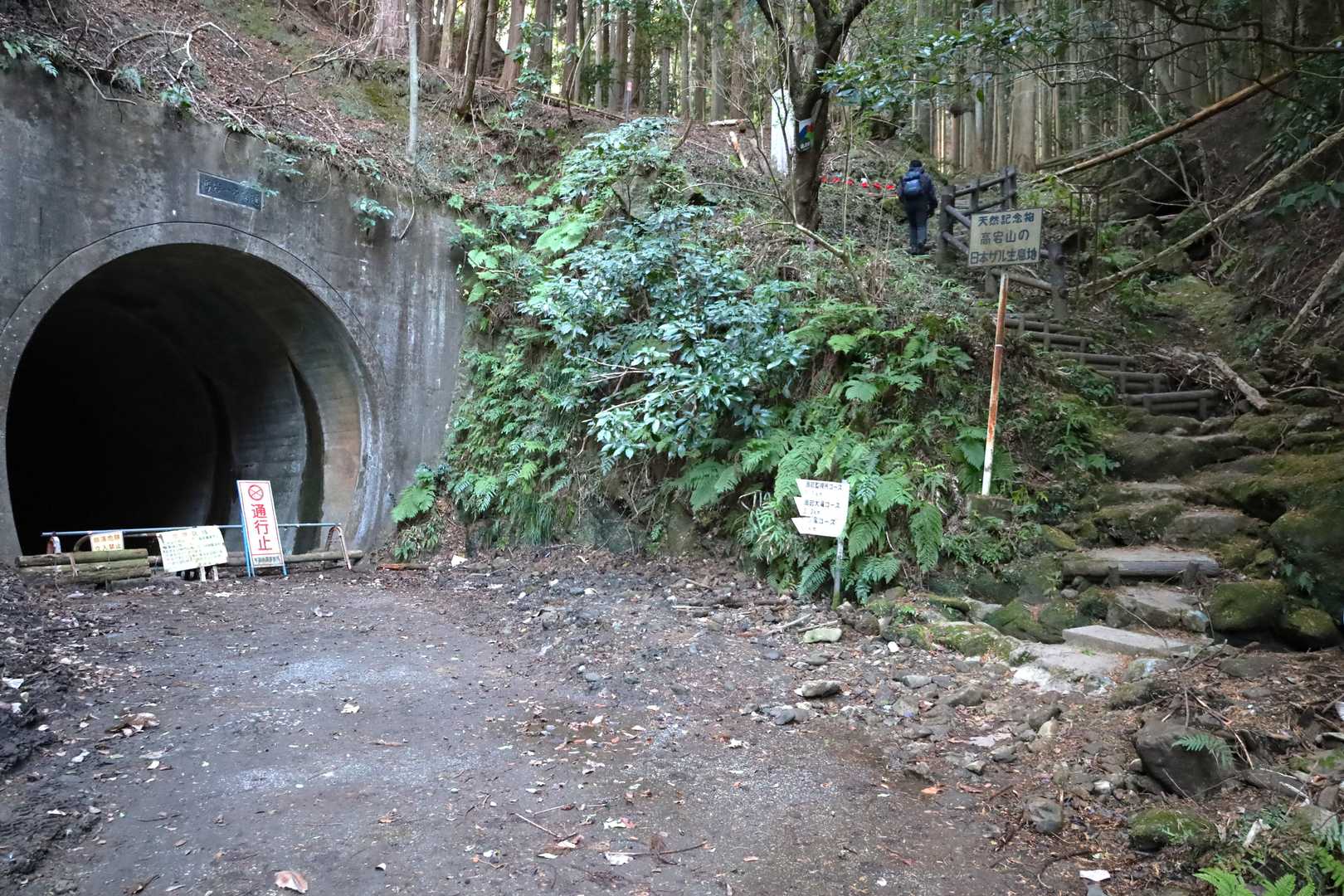 ここが石射太郎山の登山口。右の石段を登っていきます。
この時点ではピストンのつもりだったので、左の隧道を抜けて戻ってくるとは思っていませんでした。