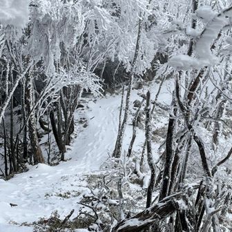 ピストンだったので、自分たちが登ってきた足跡をたどりました