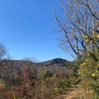 久々にも視界が開けて気持ちいい