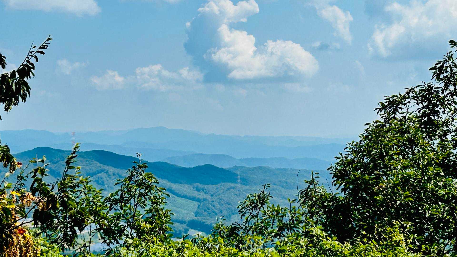 荒戸山 往復コースの写真
