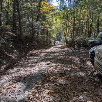 登山口は駐車場の斜め前