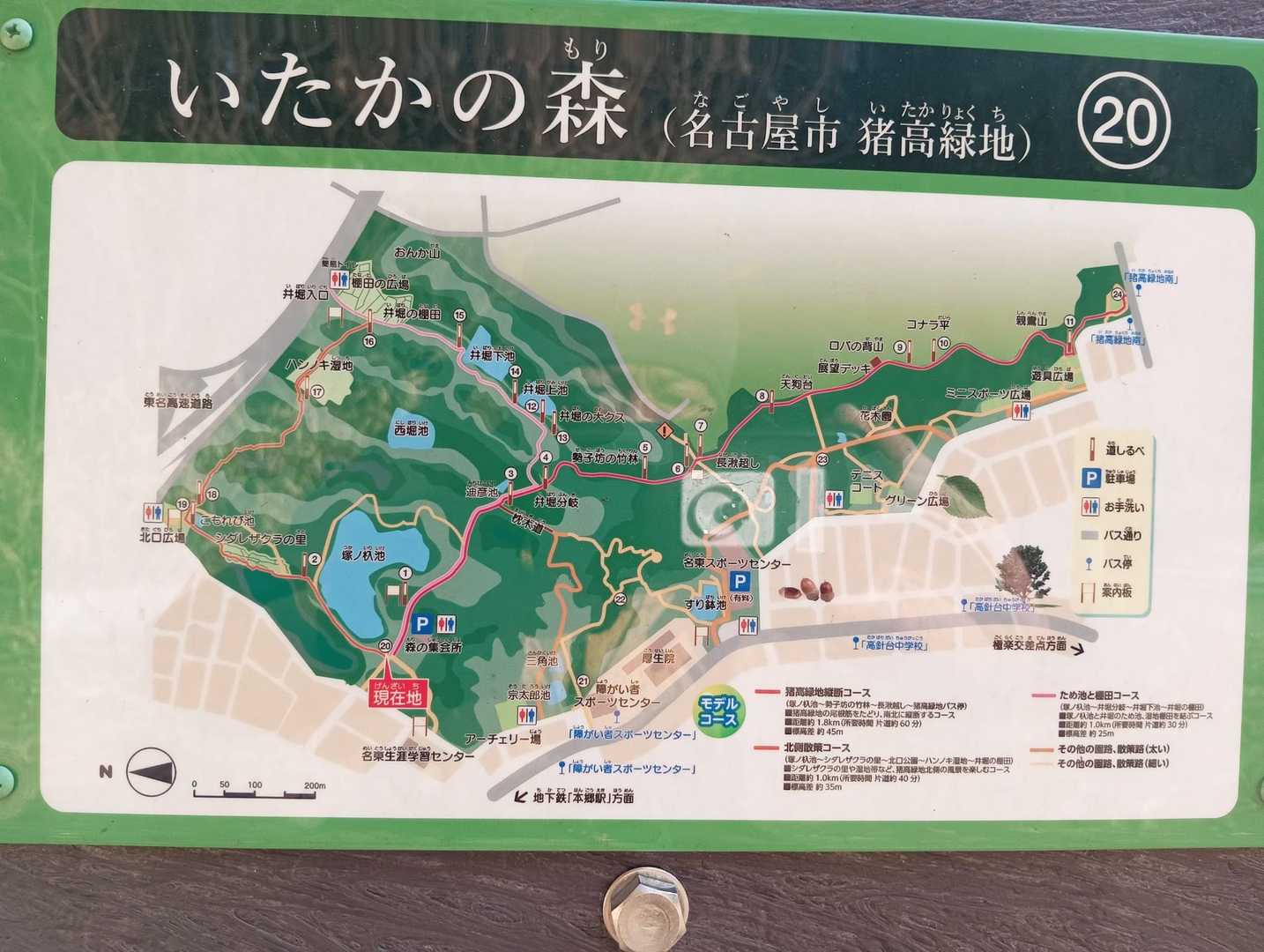 いたかの森（名古屋市猪高緑地）