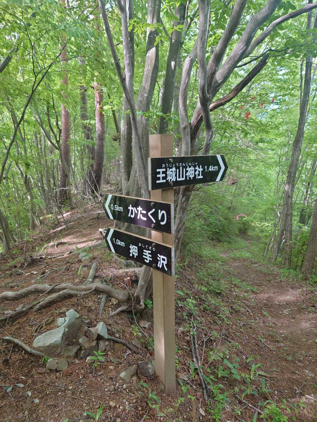 この看板があるので迷う事なし。