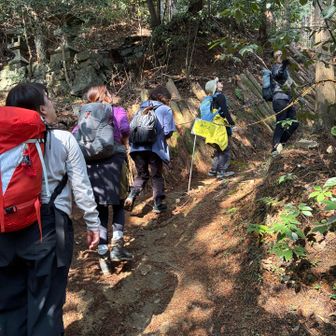 けっこうみんな健脚だった。