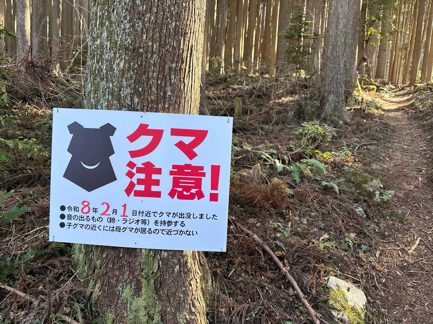 つい3日前の目撃情報にびっくり‼️