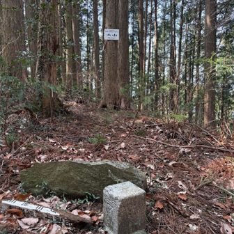 ピークは眺望なし