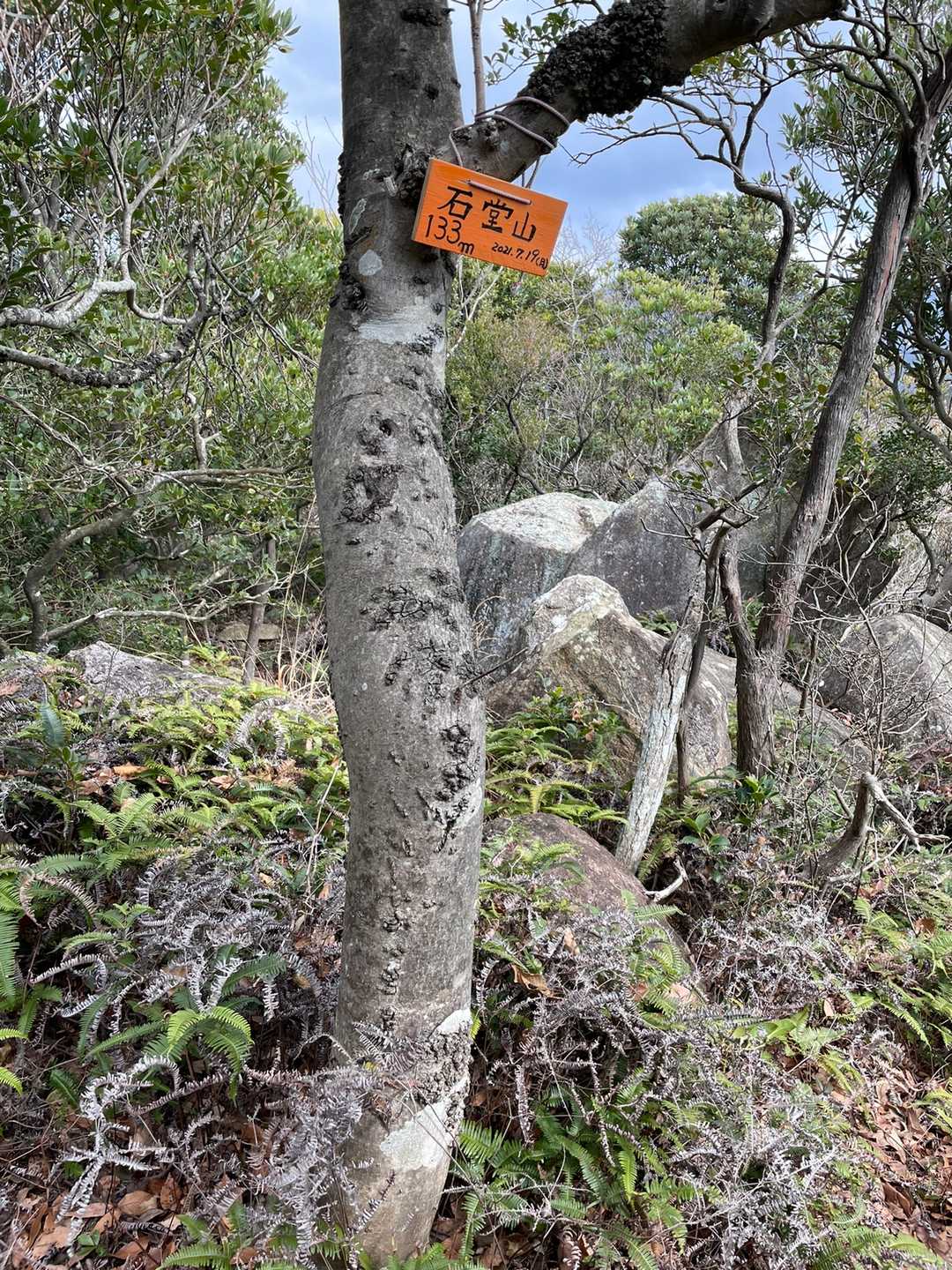 ７座目石堂山⛰
YAMAP初めて２年👆
ここで300座目達成できました💮🎊🎊🎊