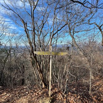あまり考えずに駐車場すぐの登山口から登り始めました