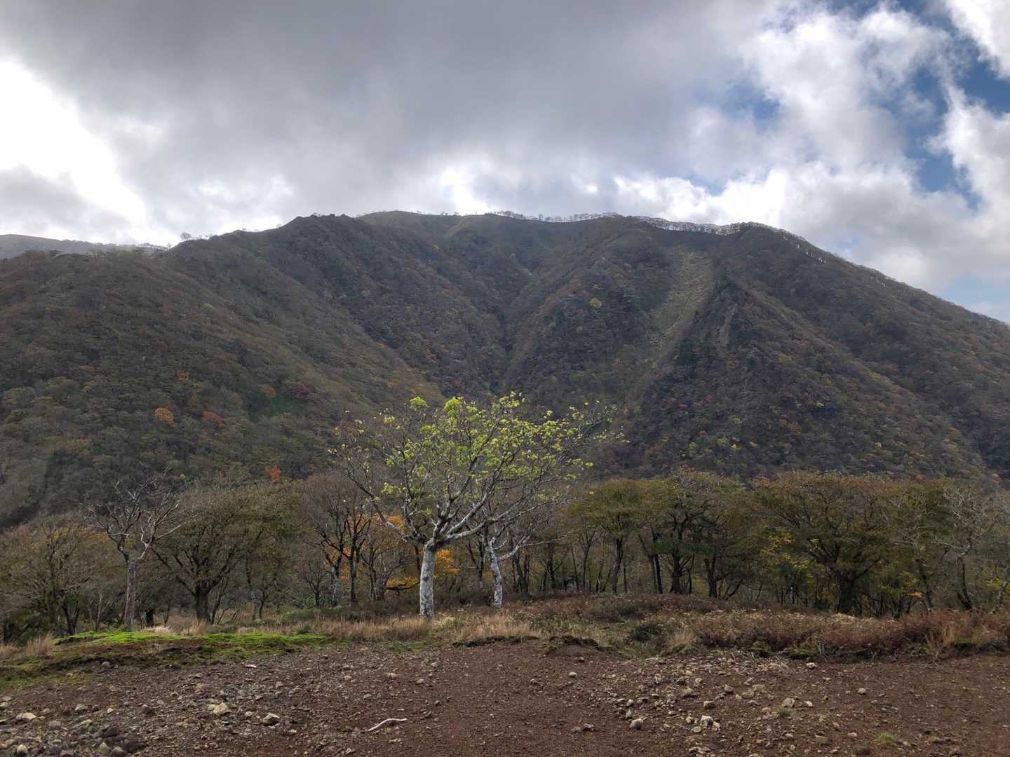 甲津畑登山口-杉峠-杉峠ノ頭-イブネ-クラシ 往復コースの写真