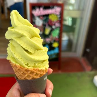 シャインマスカットアイス　美味しい😋